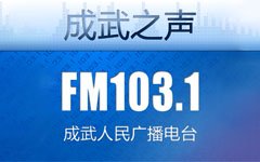 成武人民广播电台